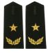 cgsb17s.jpg (3660 bytes)